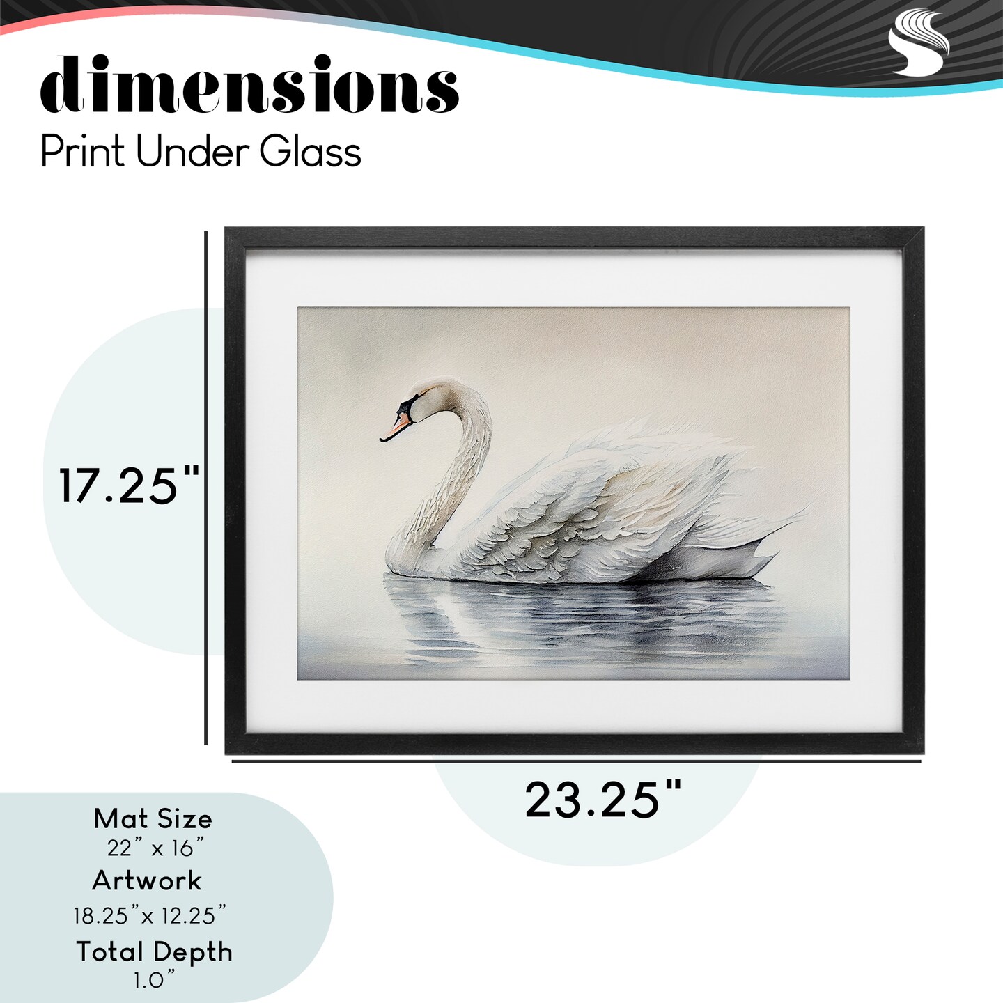 Stupell Industries Elegant Floating Swan Framed Print Under Glass, design by Sasha