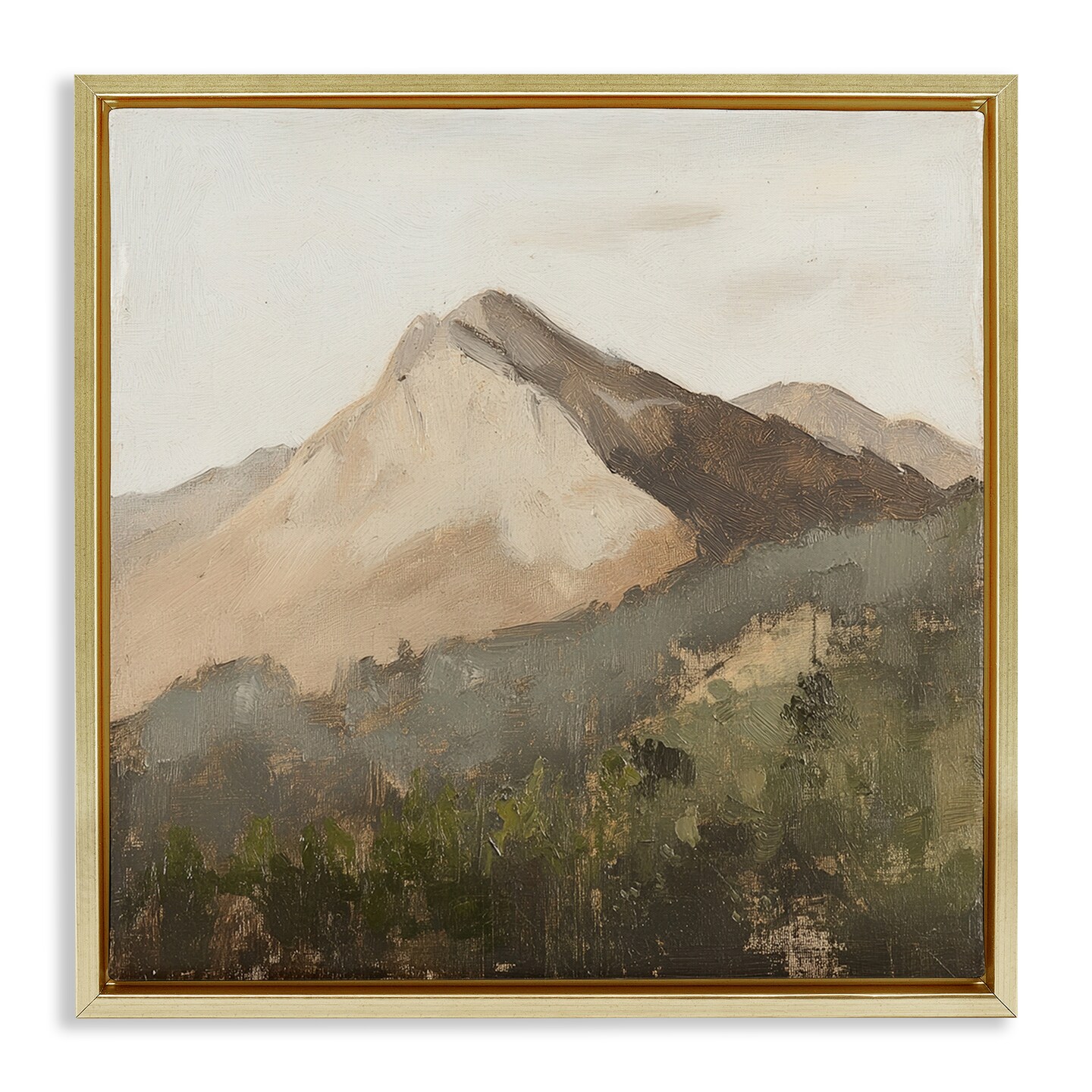 Stupell Industries Sierra Mountain Landscape Floating Frame, design by Petal Prints Design