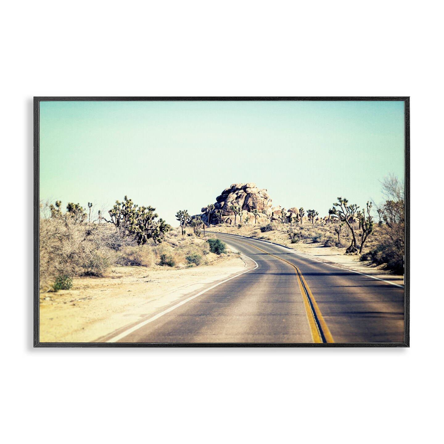 Stupell Industries Road Trip Joshua Tree Park Framed Giclee, design by Joseph S Giacalone