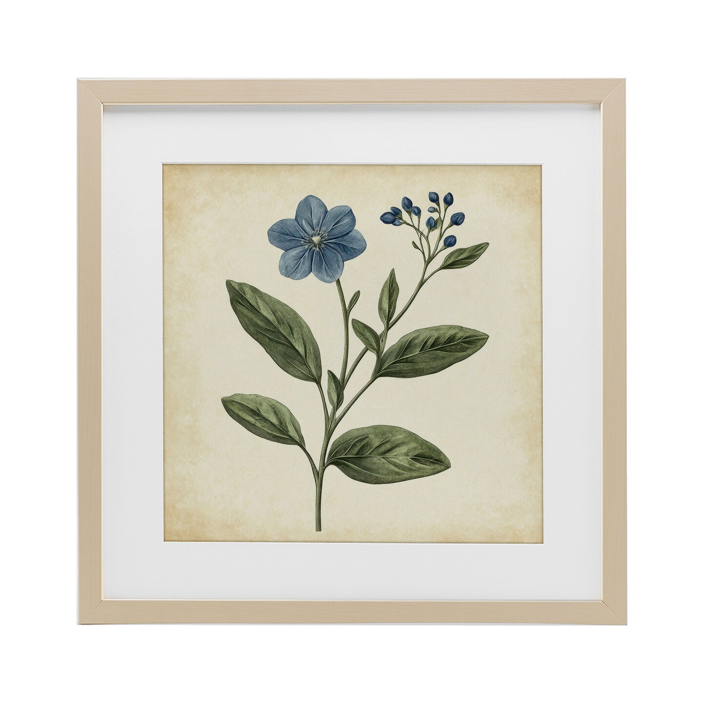 Stupell Industries Vintage Blue Blossoms Wildflower Framed Print Under Glass, design by Petal Prints Design