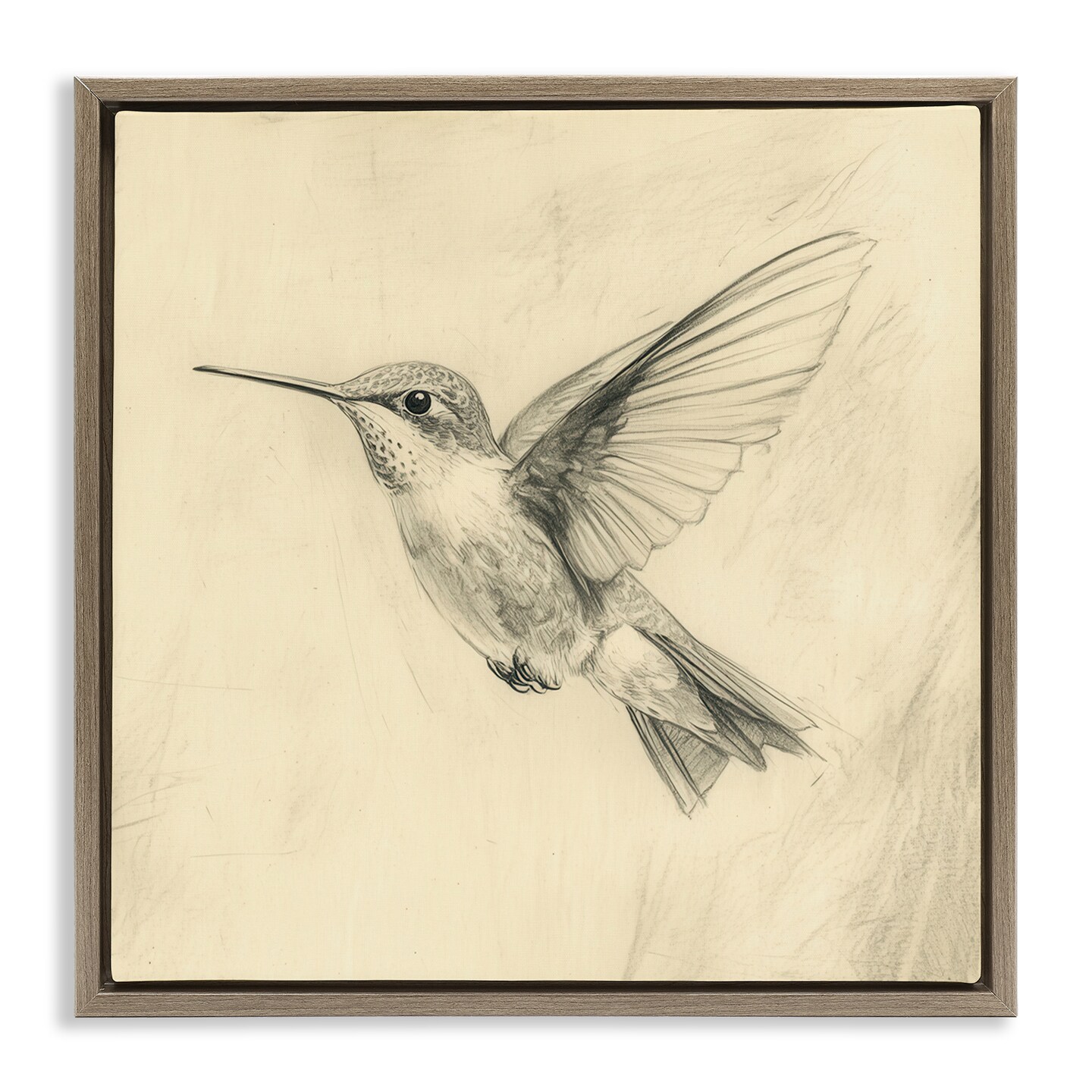 Stupell Industries Vintage Hummingbird Sketch Floating Frame, design by Petal Prints Design
