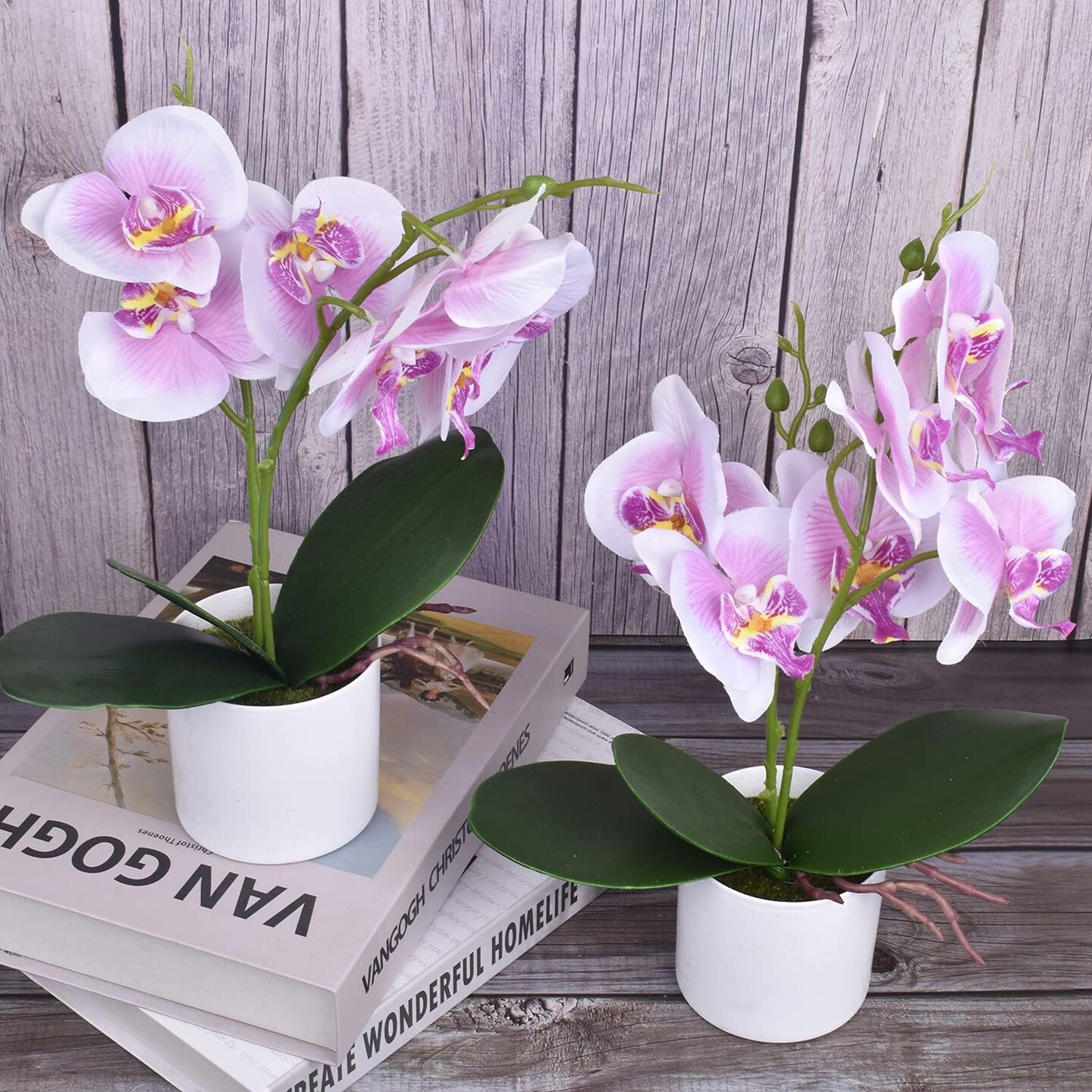 2pcs Artificial Potted Orchids – Lifelike Faux Flowers for Home, Office & Event Décor