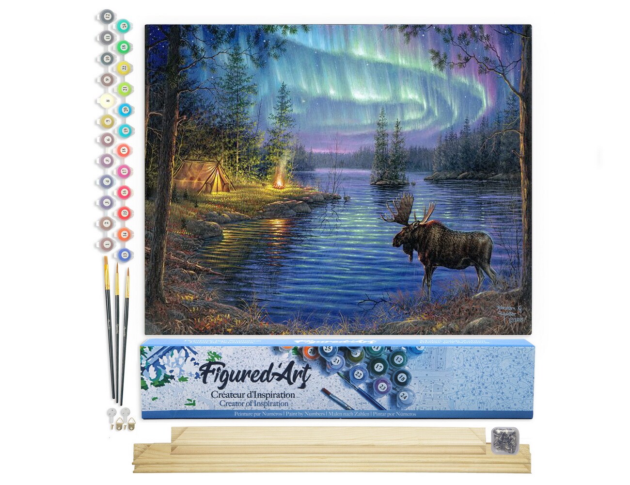 Figured'Art Paint by Numbers for Adults Moose and aurora borealis 16"x20" - Craft Art Painting Rolled Canvas with DIY wooden frame