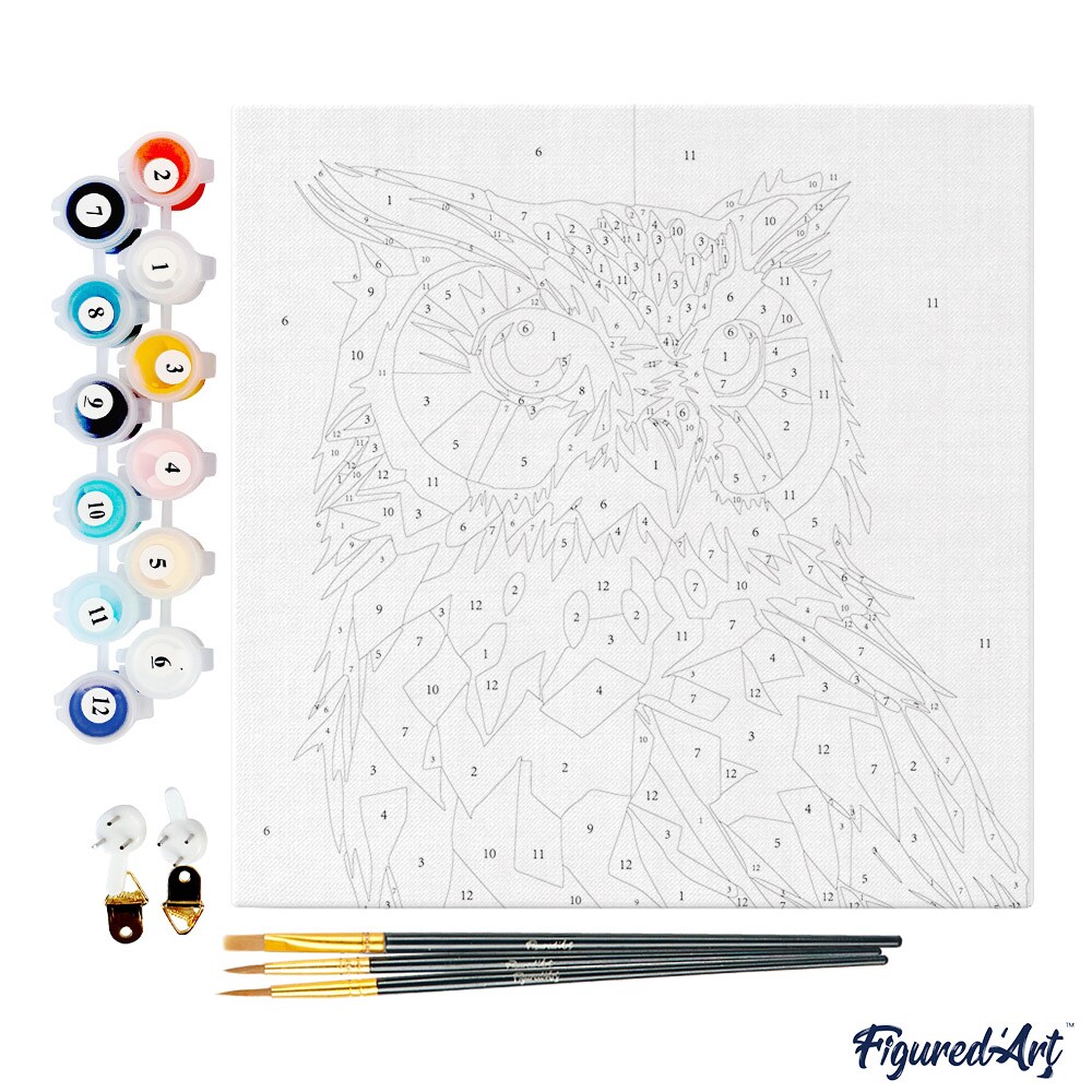 Figured&#x27;Art Mini Paint by Numbers Kit for Adults with Frame Owl Abstract Pop Art Small format 8&#x22;x8&#x22; - Craft Art Painting DIY Canvas Already Stretched on a Wooden Frame