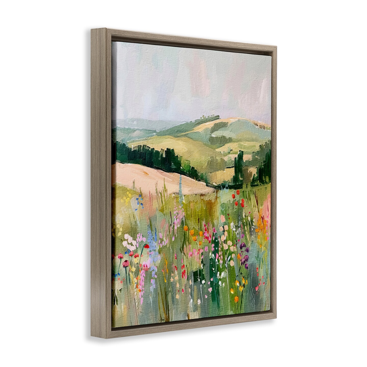 Stupell Industries Pastel Countryside Meadows Floater Framed Canvas Wall Art Design by RileyB
