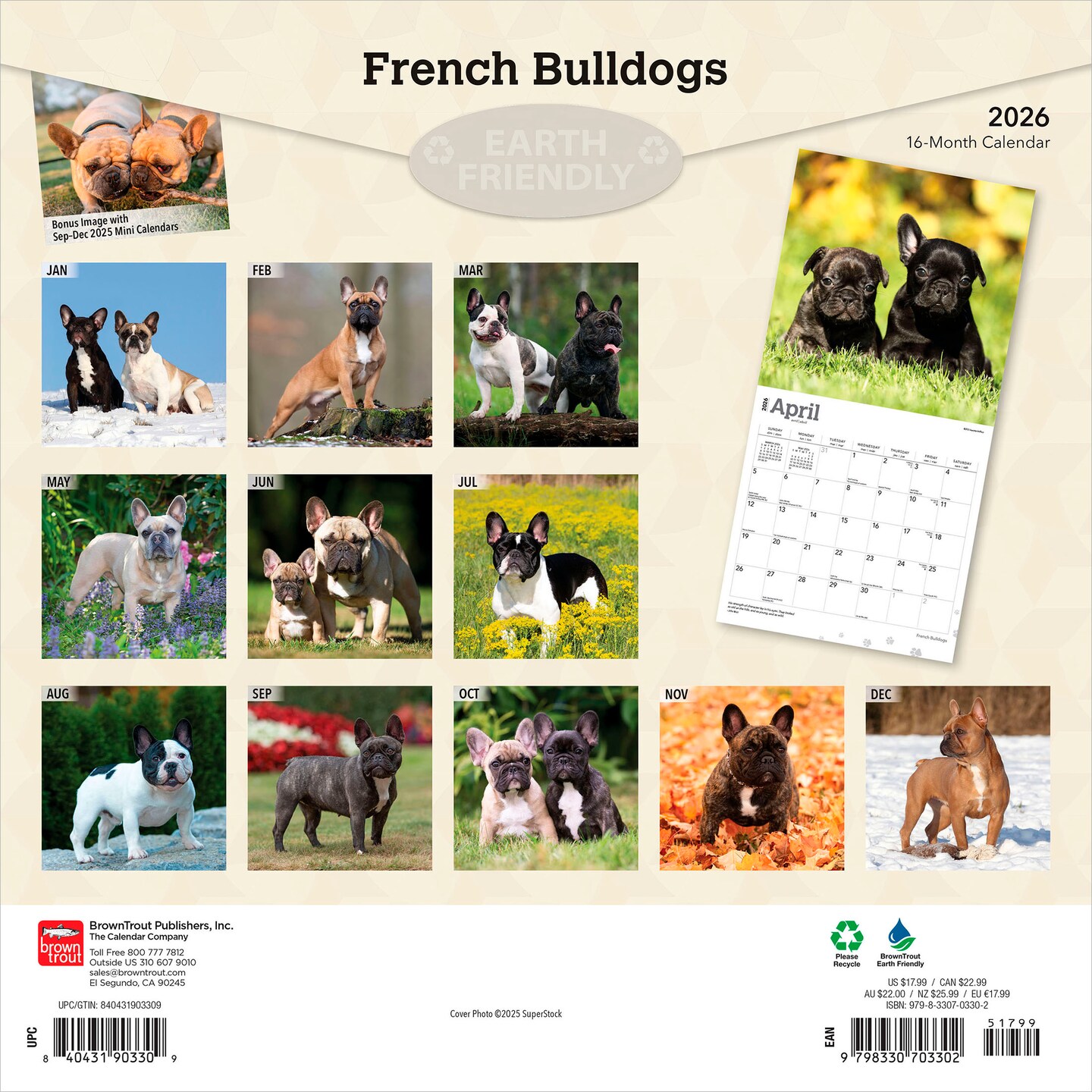 French Bulldogs | 2026 12 x 24 Inch (Hanging) Monthly Square Wall Calendar | Plastic-Free