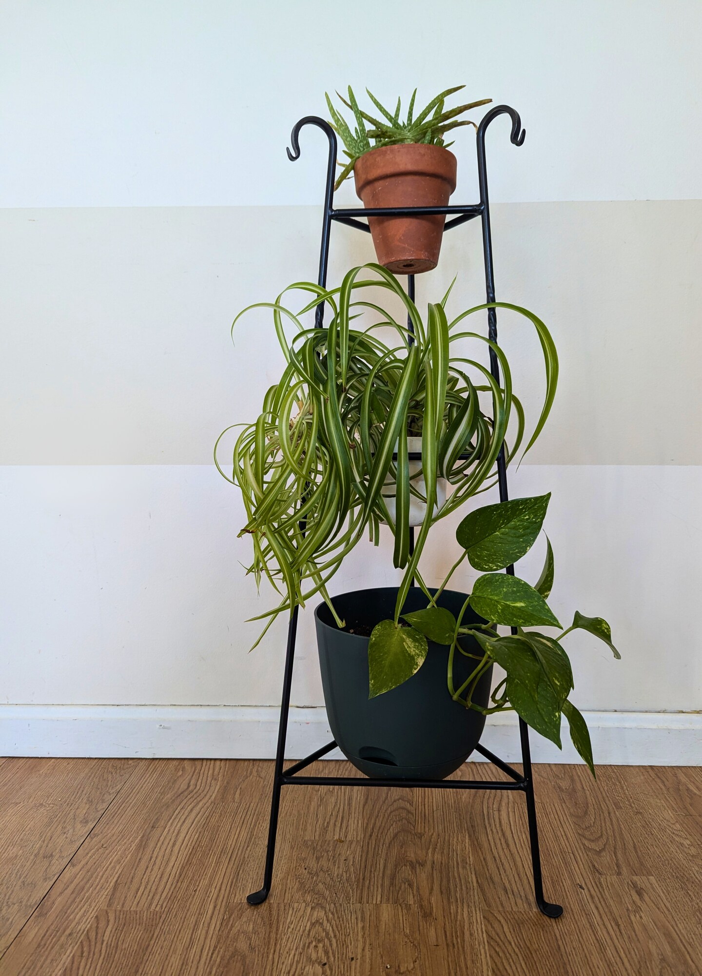 Three-Tier Wrought Iron Black Plant Stand  Plant Holder for Indoor Plants  and Flower Display | Rustic Home Decor | Amish Made in the USA | MakerPlace  by Michaels