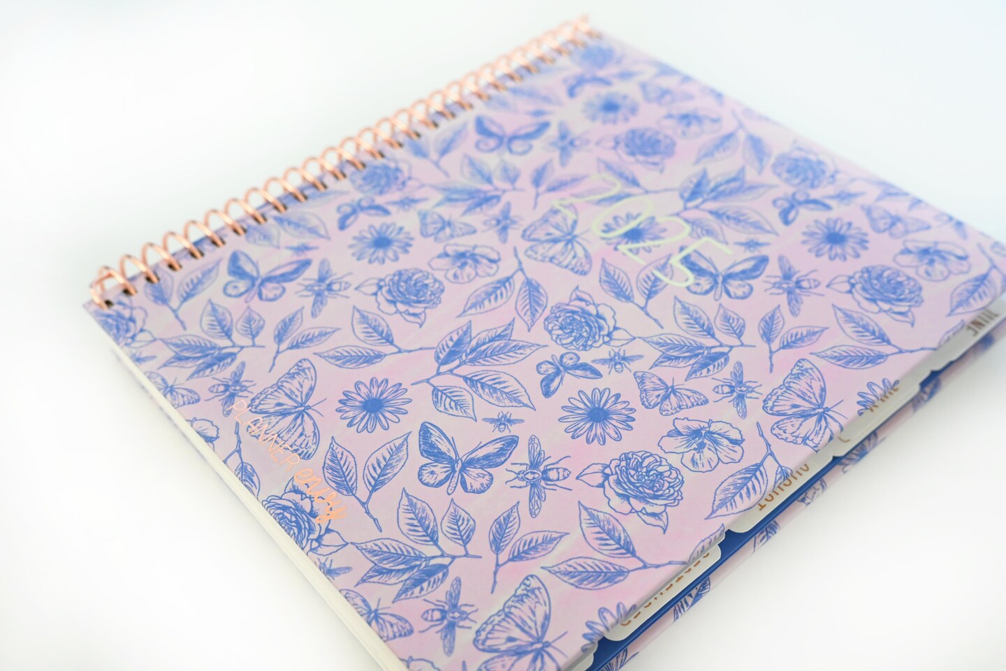 2025 Planner - Mini Horizontal Layout, Spiral Bound - "Butterfly Doodles" (#409)