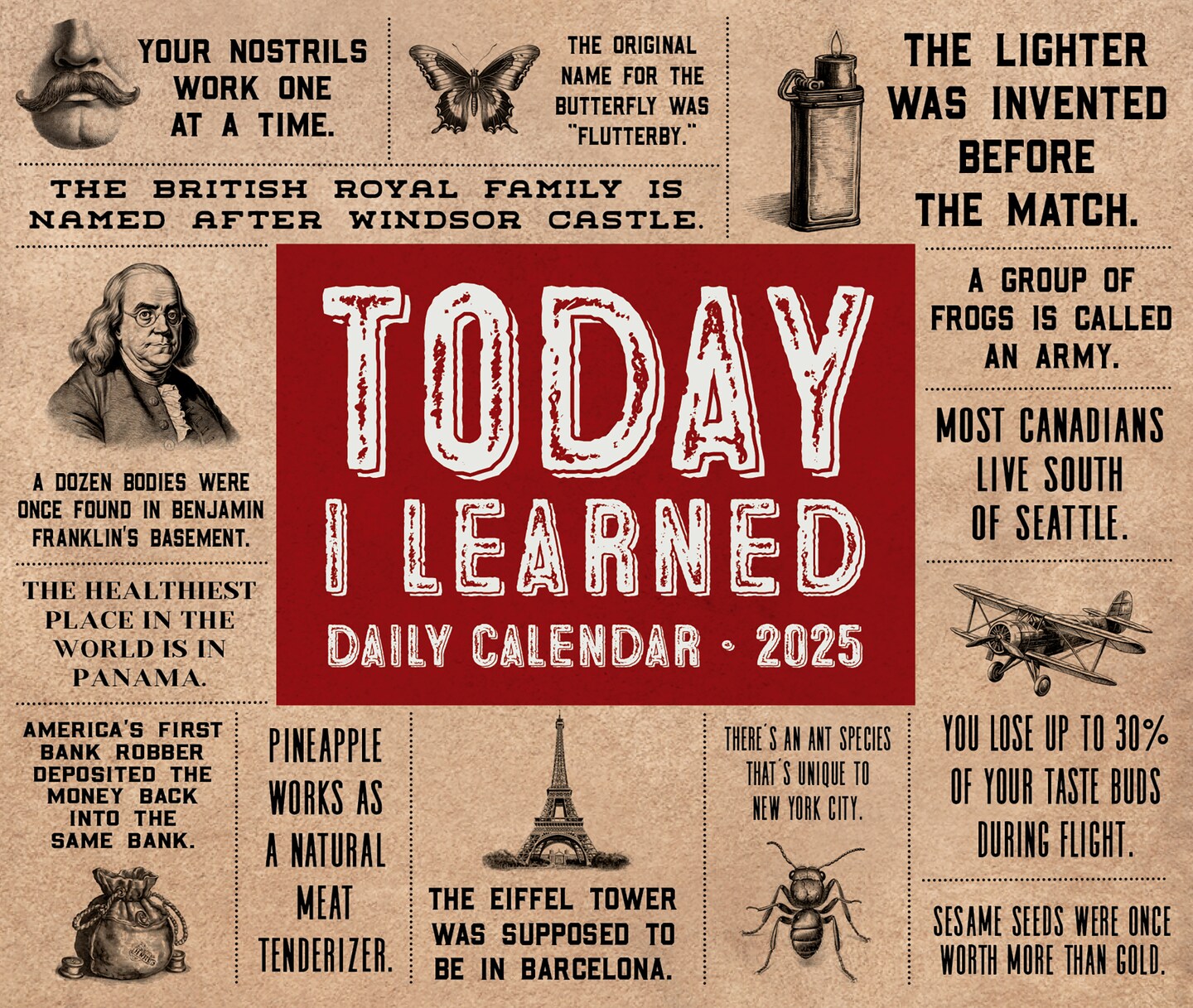 Today I Learned - Facts and Trivia 2025 Box Calendar - Daily Humor Desktop