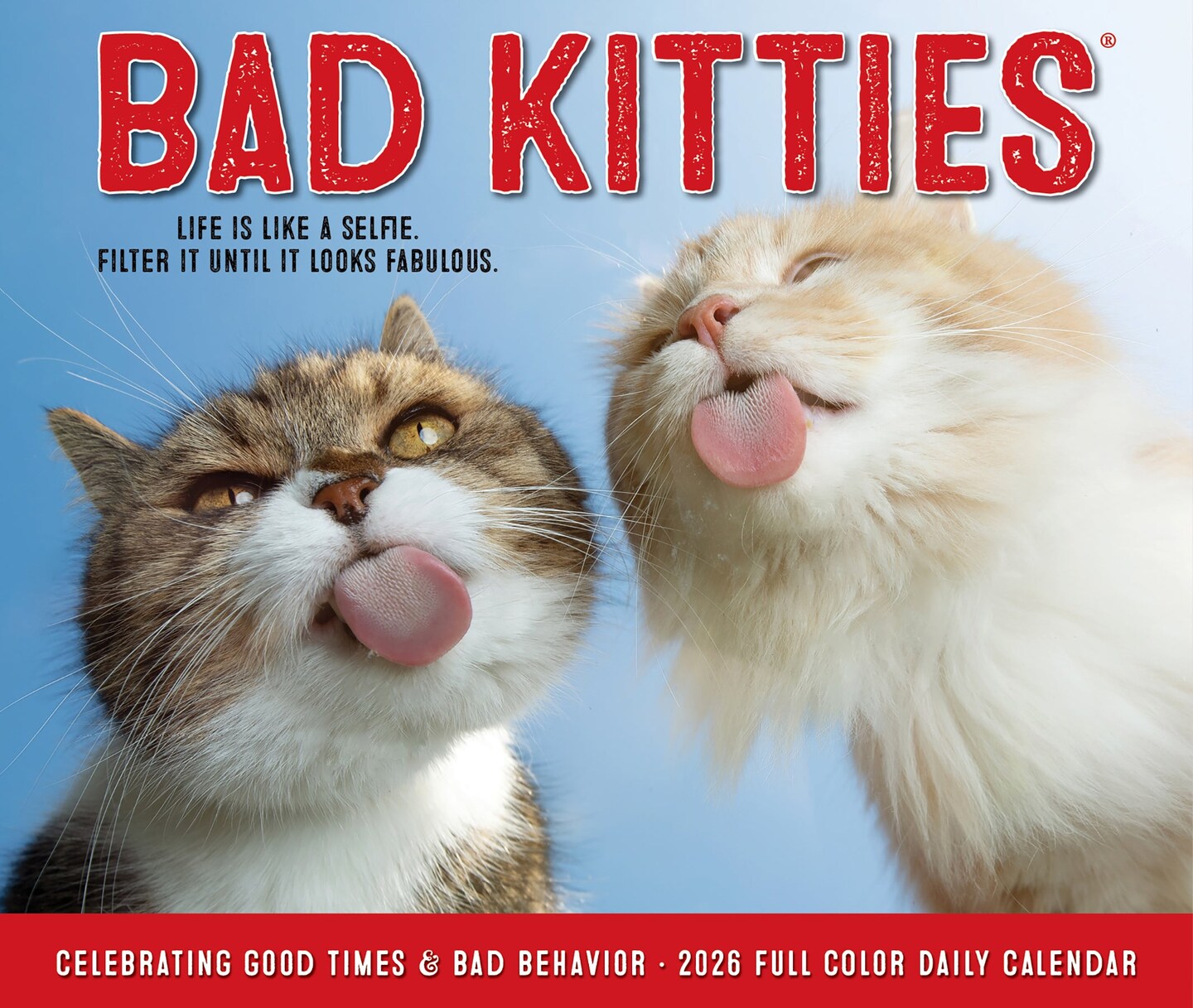 Bad Kitties 2026 Box Calendar