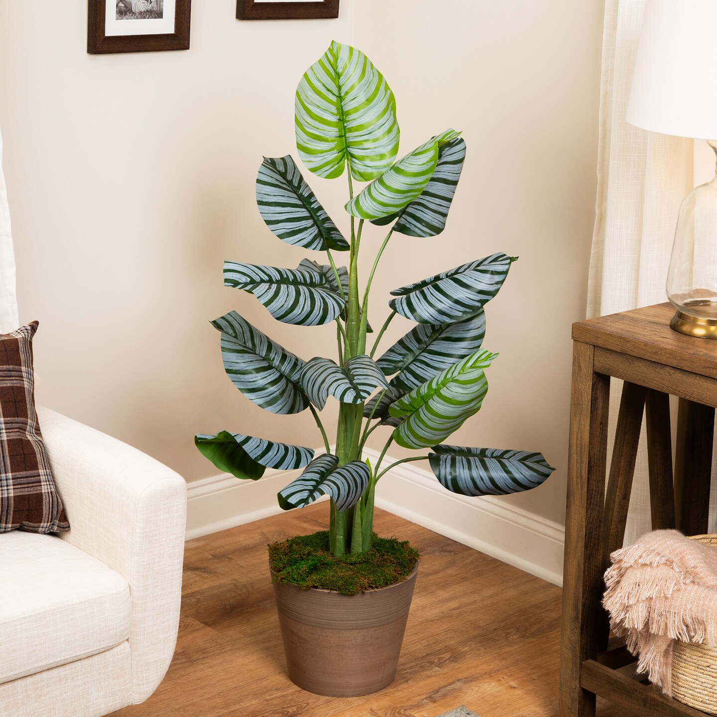 Northlight Potted Two Tone Green Calathea Artificial Floor Plant - 4'