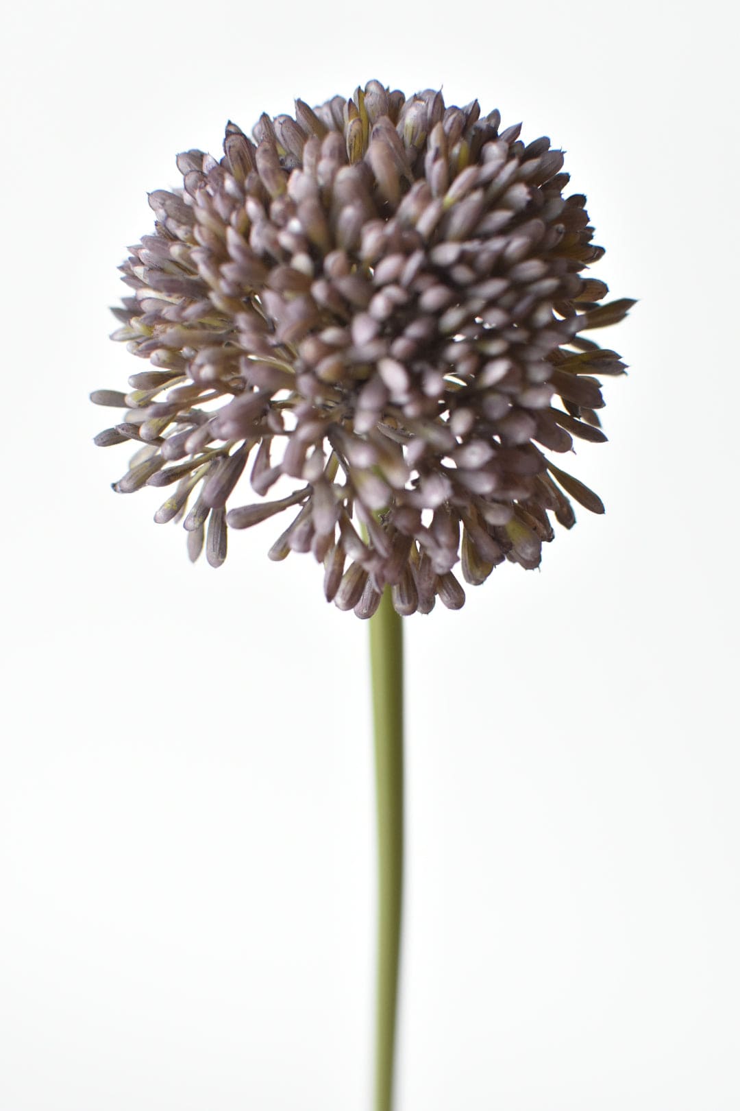 17.5&#x22; Faux Purple Allium Spray Stem