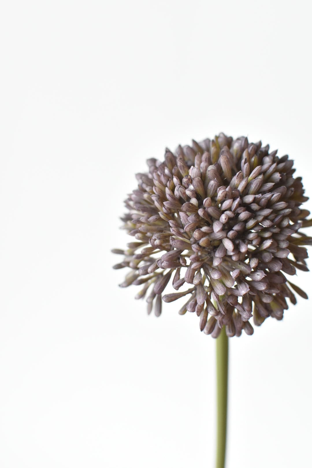 17.5&#x22; Faux Purple Allium Spray Stem