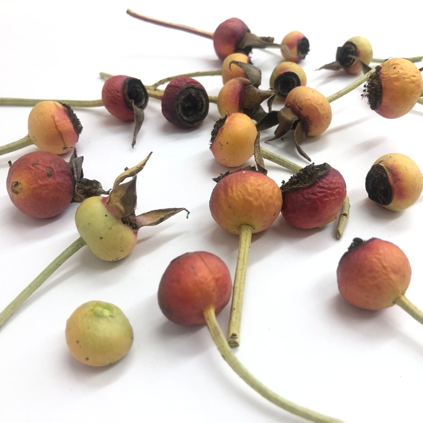 NEW Organically Grown Freeze-Dried Rose Hips 10 cups - 1 pound