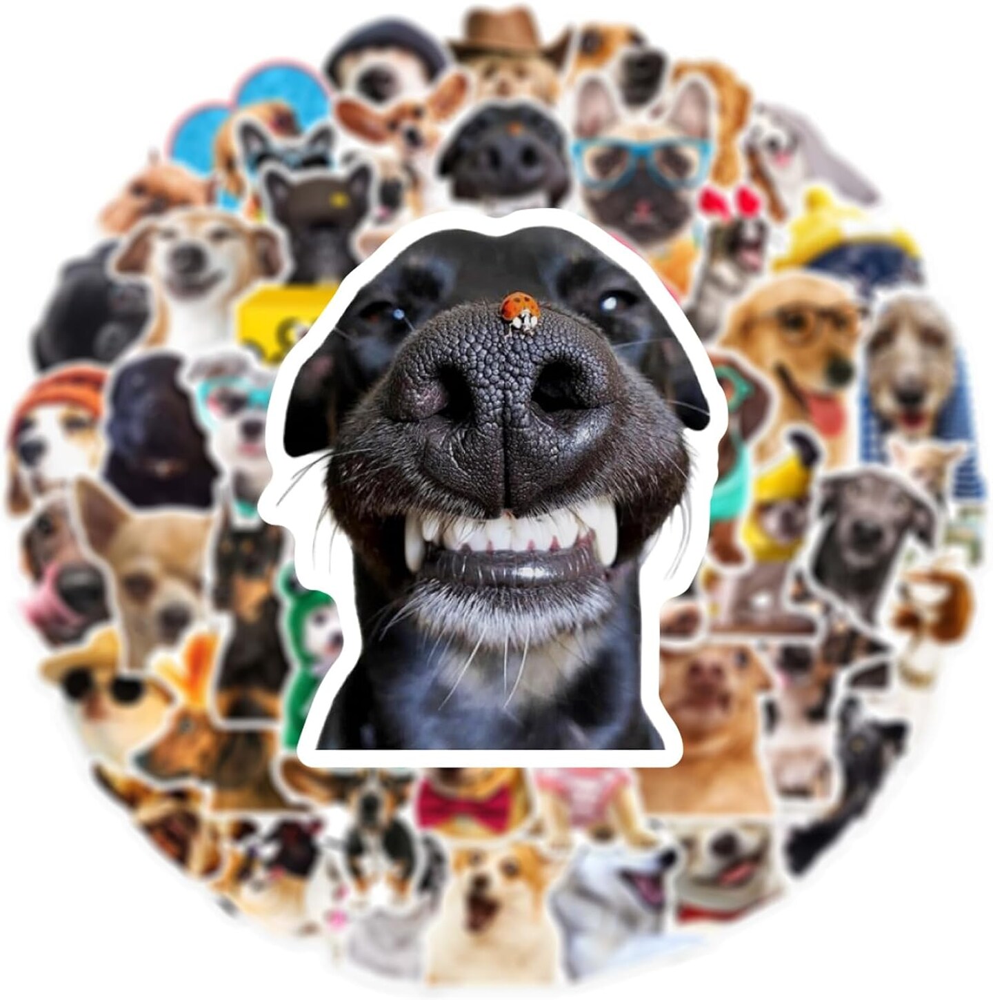 50 PCS Funny Dog Stickers Cute Animal Sticker
