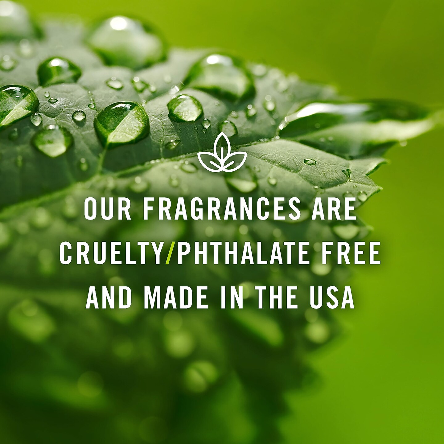 Trading Fragrance Oil Sweet Set | Candle Scents for Candle Making, Freshie Scents, Soap Making Supplies, Diffuser Oil Scents
