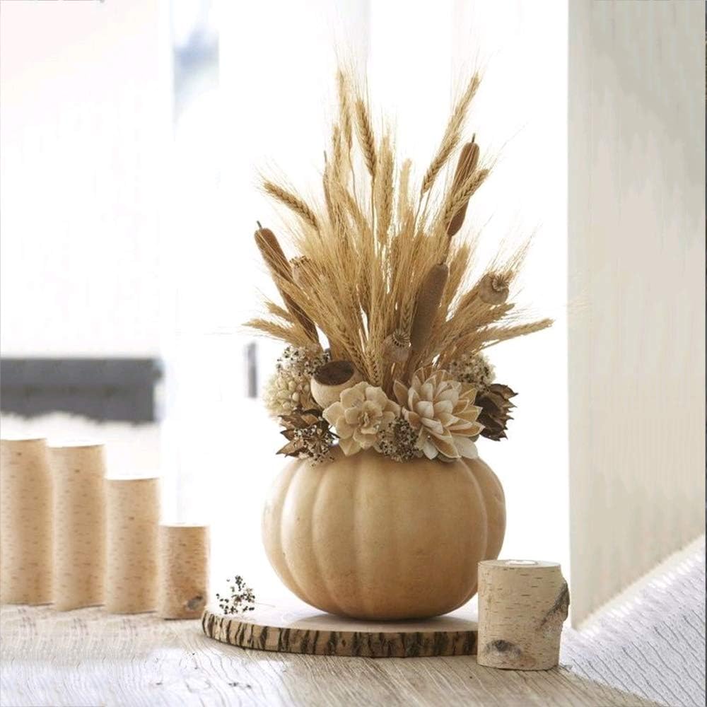 100 Stems Dried Wheat Stalks – 17.7 Inches, 100% Natural for Home, Kitchen, Office, Wedding, Farmhouse, Boho, Christmas, Fall, and Party Décor