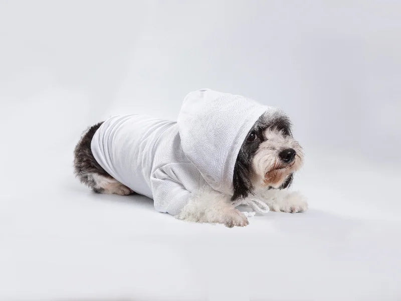Customizable Large Sublimation Pet Hoodies &#x2013; 2 Pack