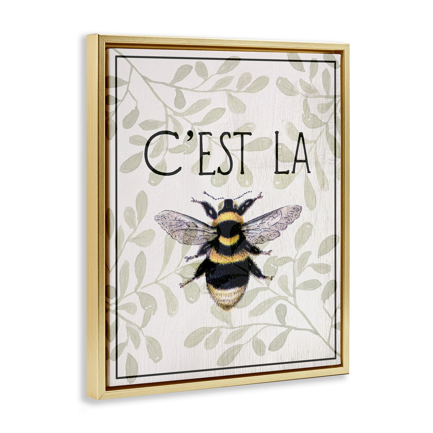 Stupell Industries French Bee on Floral Floating Frame, design by Lil' Rue