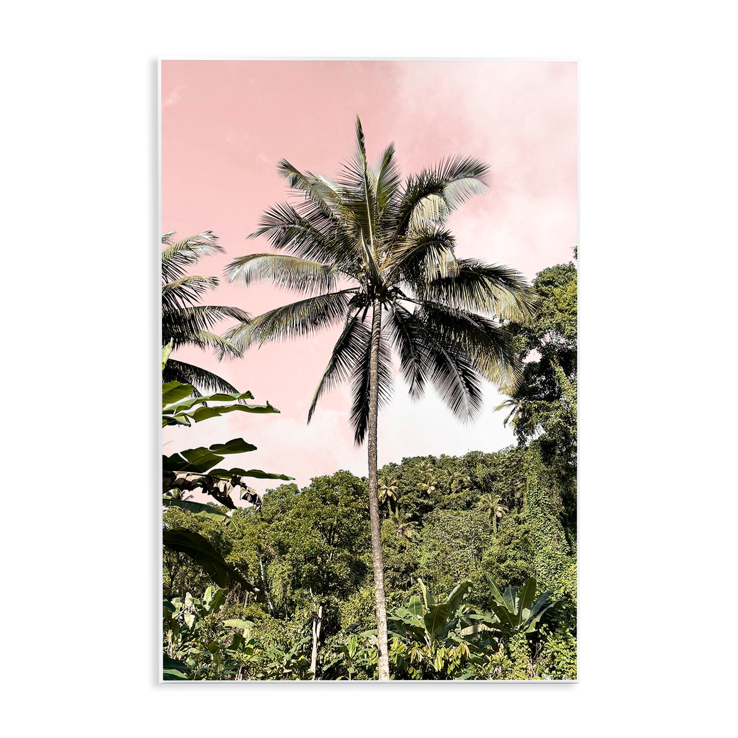 Stupell Industries Rainforest Palm on Pink Wall Plaque, design by Natalie Carpentieri