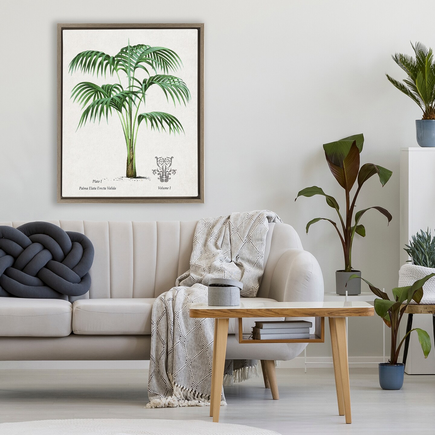 Stupell Industries Vintage Palm Illustration Floating Frame, design by Val Rhodes
