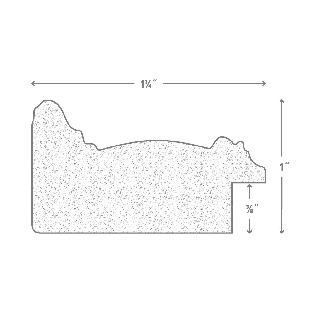 10x15 Galerie N 1.75 Inch Wood Moulding, Wall Display Frame for Art, Posters, or Photos wallsthatspeak