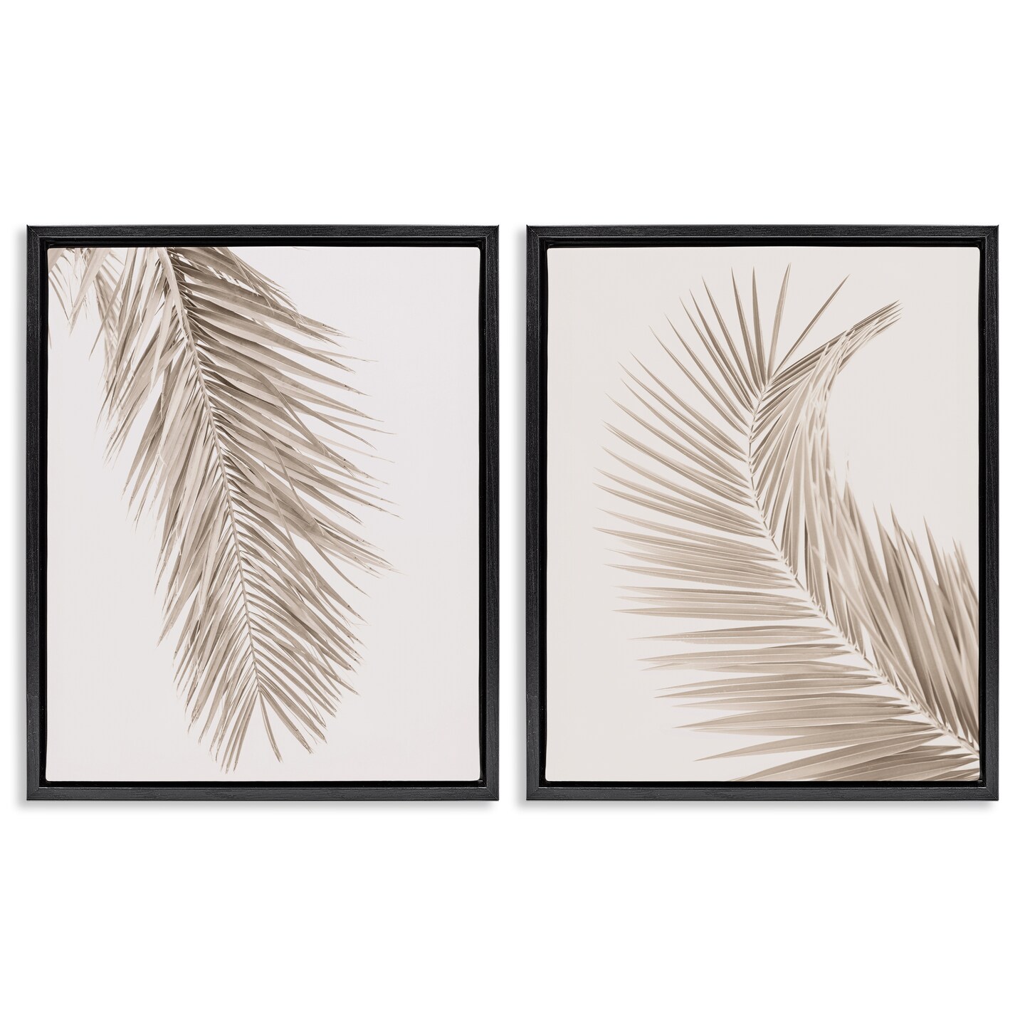 Stupell Industries Muted Neutral Brown Palms 2pc Floating Frame Set, design by Sisi and Seb
