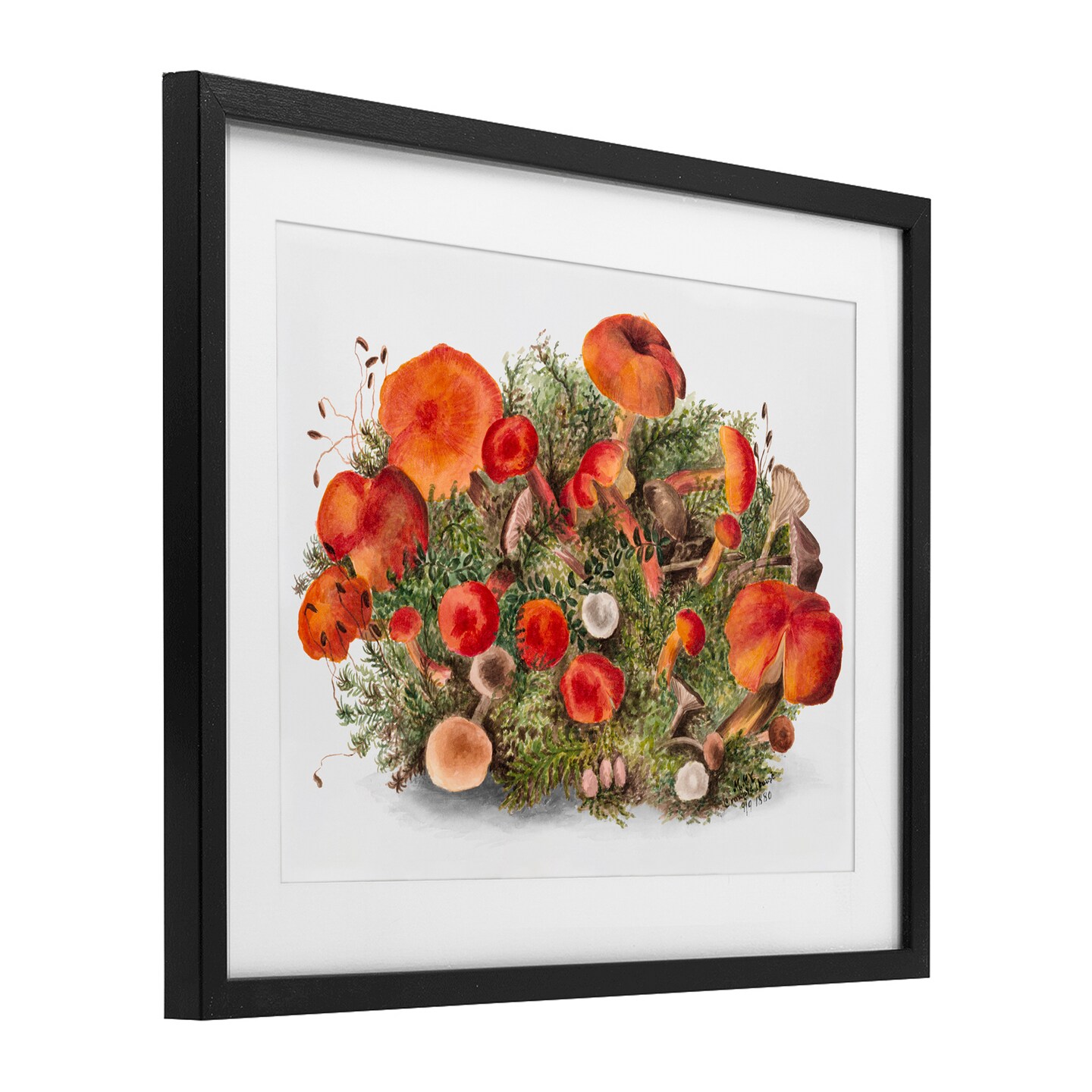 Stupell Industries Earthy Mushroom Caps Nature Framed Print Under Glass, design by Lettered and Lined