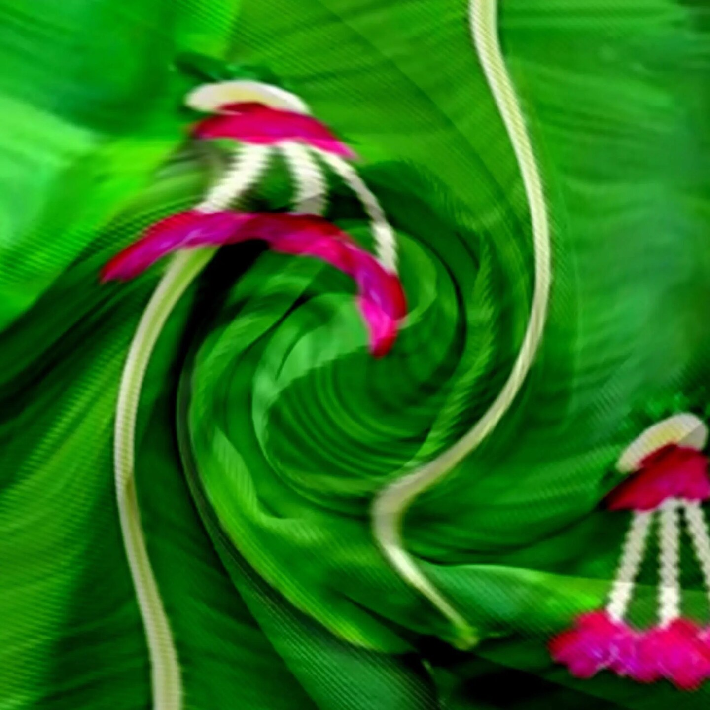 Banana Leaf Backdrop 5x8 Feet Backdrop Indian Traditional Cloth Backdrop Pooja Backdrop Indian Wall Art Photo Decor Banner Diwali Decor Wedding Backdrop Decorative Pooja Cloth