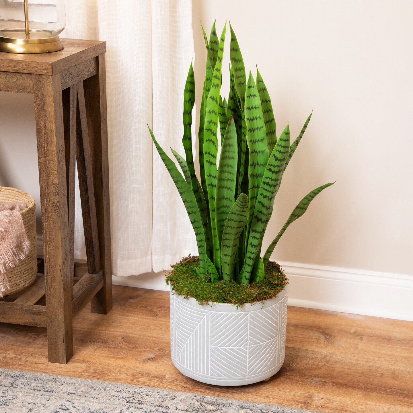 Northlight Real Touch Artificial Two Tone Potted Snake Plant - 3', Color:  Green | Michaels
