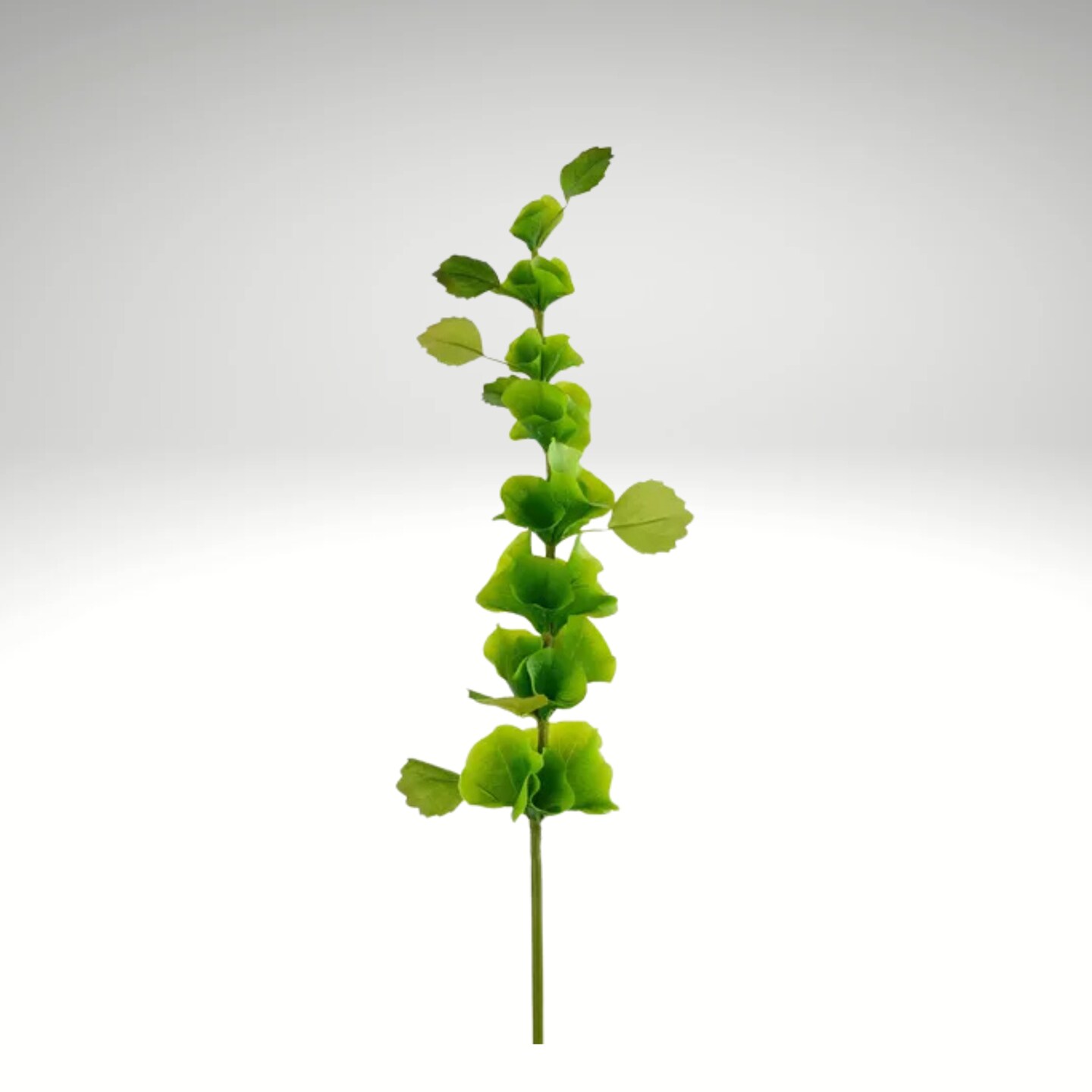 Artificial Bells of Ireland Stem | 29" Green Faux Floral-FS389409