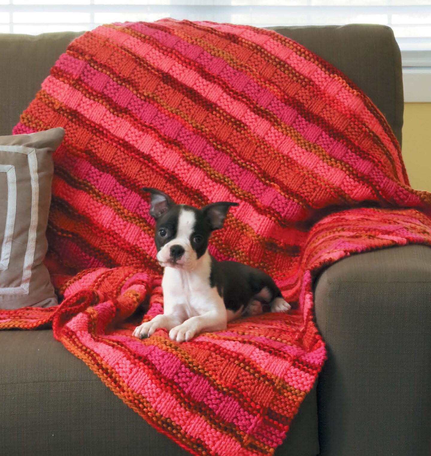 Learn to Knit—Easy Step-by-Step How-Tos, Eye-Catching Beginner Projects