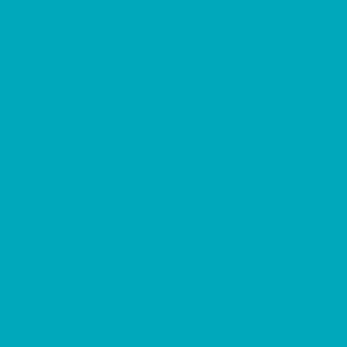 Solid Turquoise Anti-Pill Fleece Fabric (Medium Weight) | By The Yard
