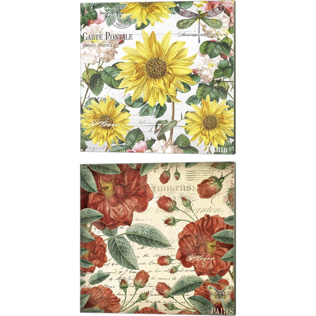 Paris & New Orleans Garden by Mary Jane Creative, 2 Piece Canvas Art Set