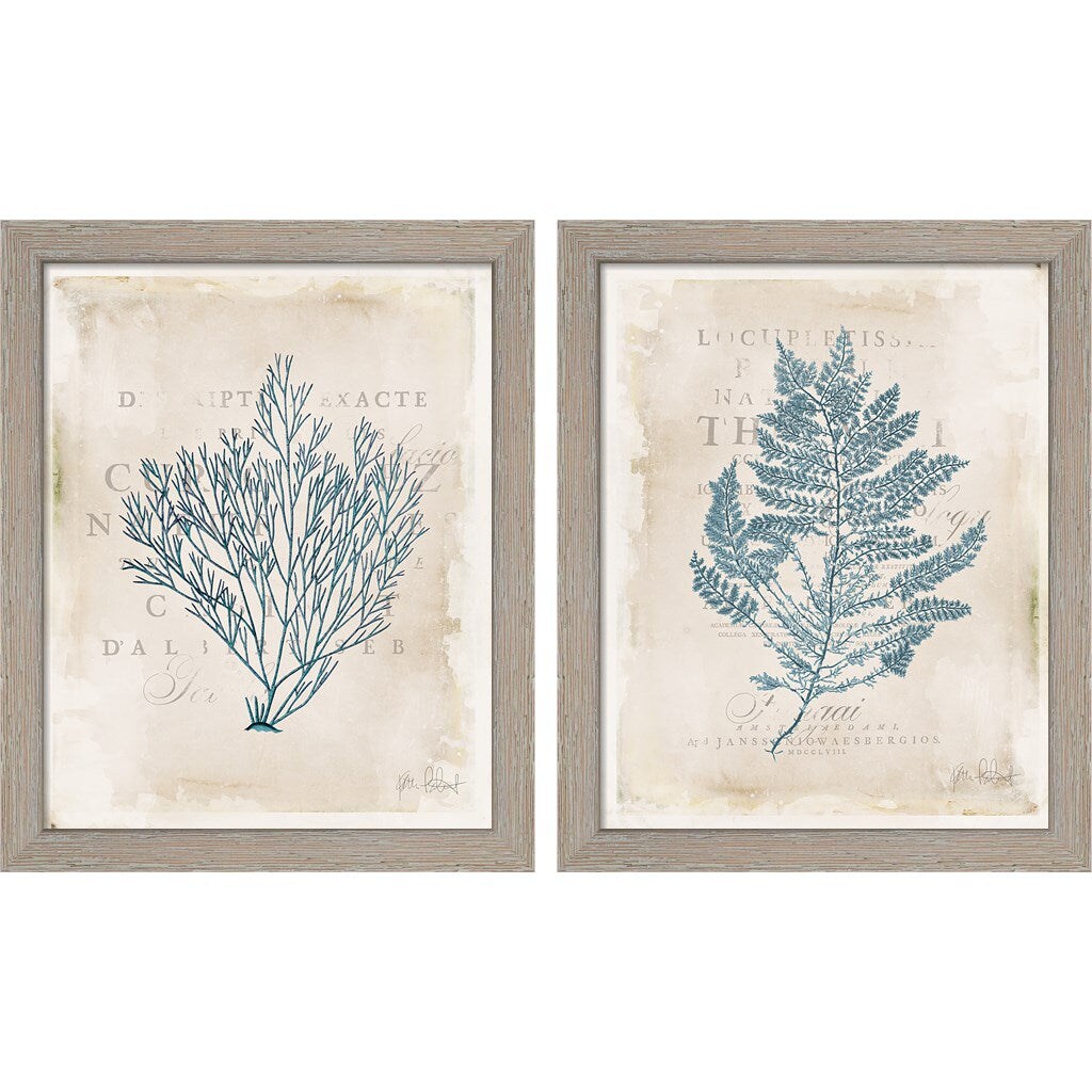 Sea Garden by Katie Pertiet, 2 Piece Rustic White Framed Art Set