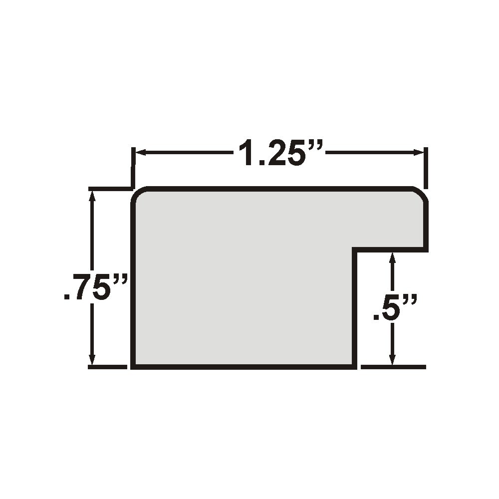 8x10 Matted Picture Frame, Colori 125 1.25 Inch MDF  Moulding, Wall Display Frame for Art, Posters, or Photos by wallsthatspeak
