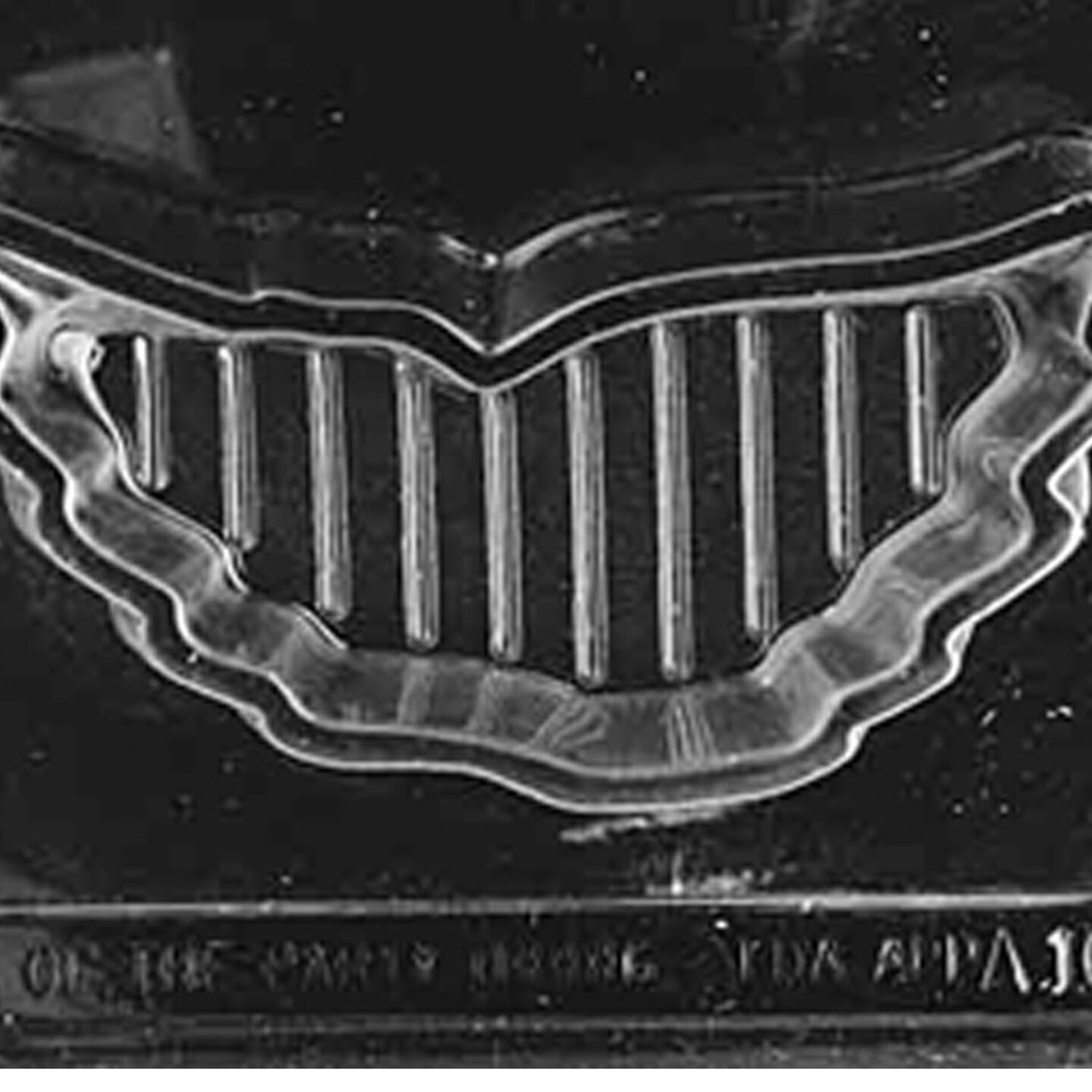 Bird in Flight Pour Box Chocolate Mold Elegant Wing Design for Beautiful Treats