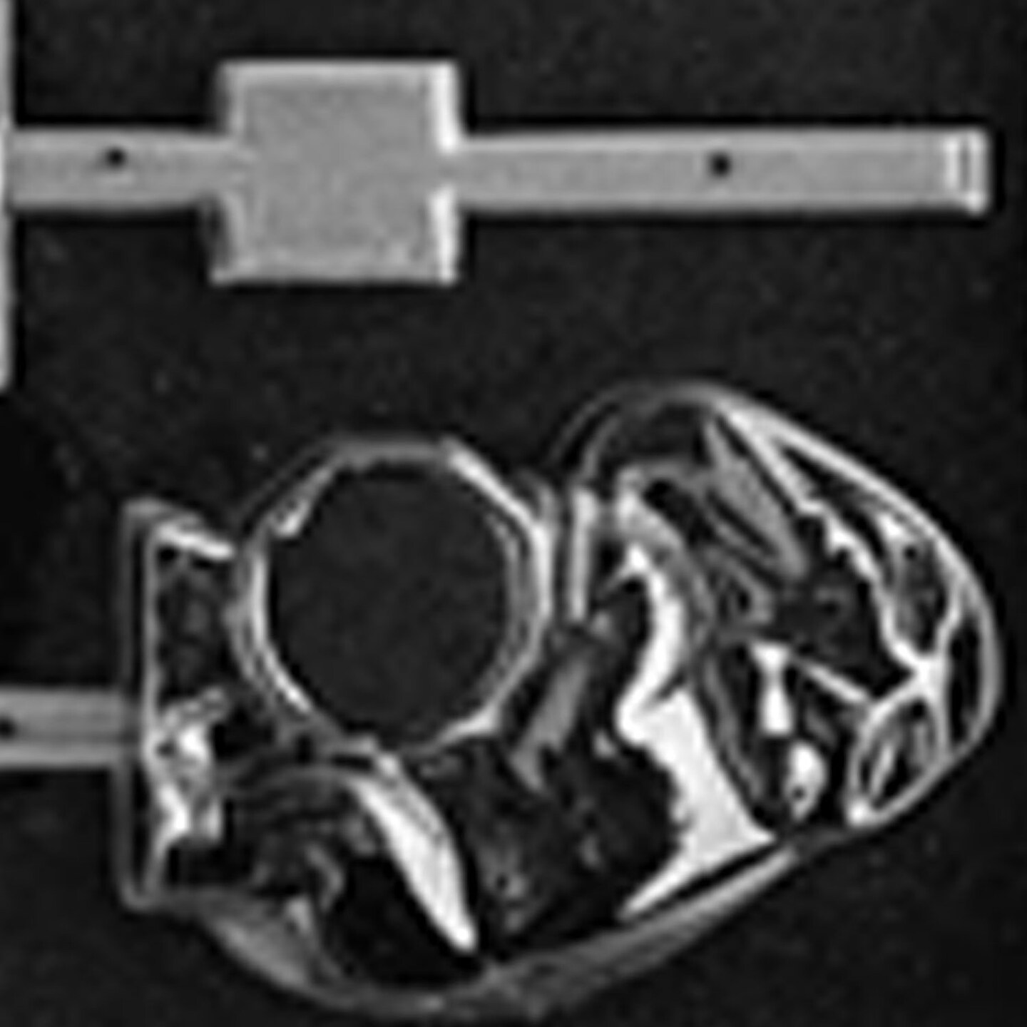 Elephant on a Drum Lollipop Mold