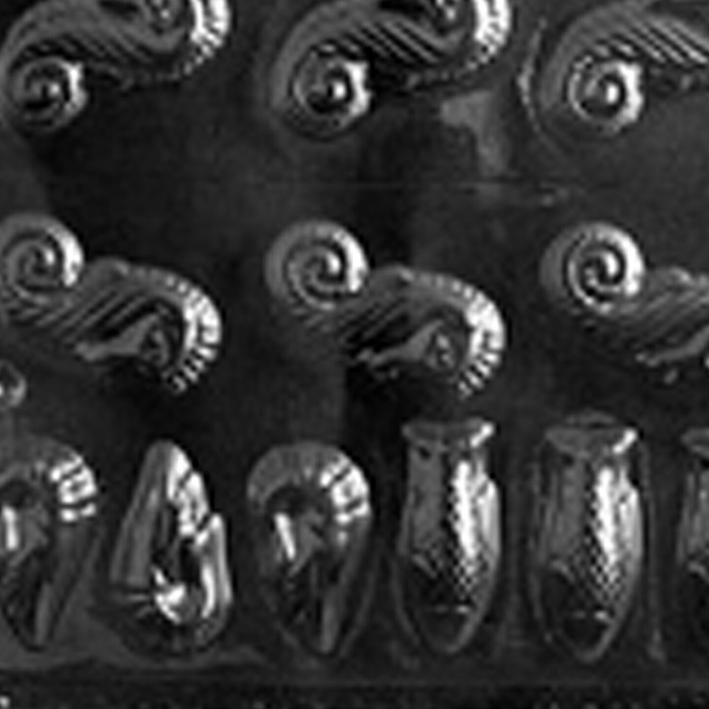 3D Shrimp Seahorse & Fish Chocolate Mold for Ocean Themed Treats