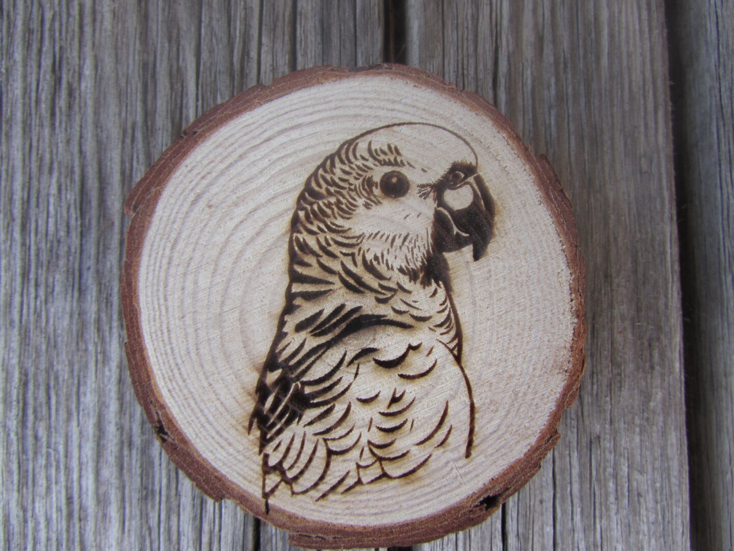 Engraved Wildlife Bird Refrigerator Magnets, Laser Cut Wood Fridge