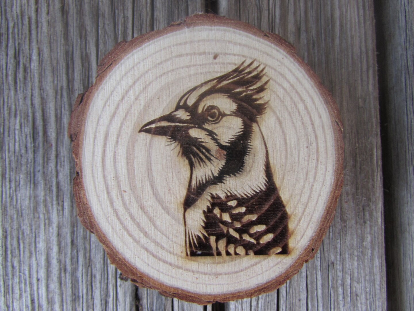Engraved Wildlife Bird Refrigerator Magnets, Laser Cut Wood Fridge