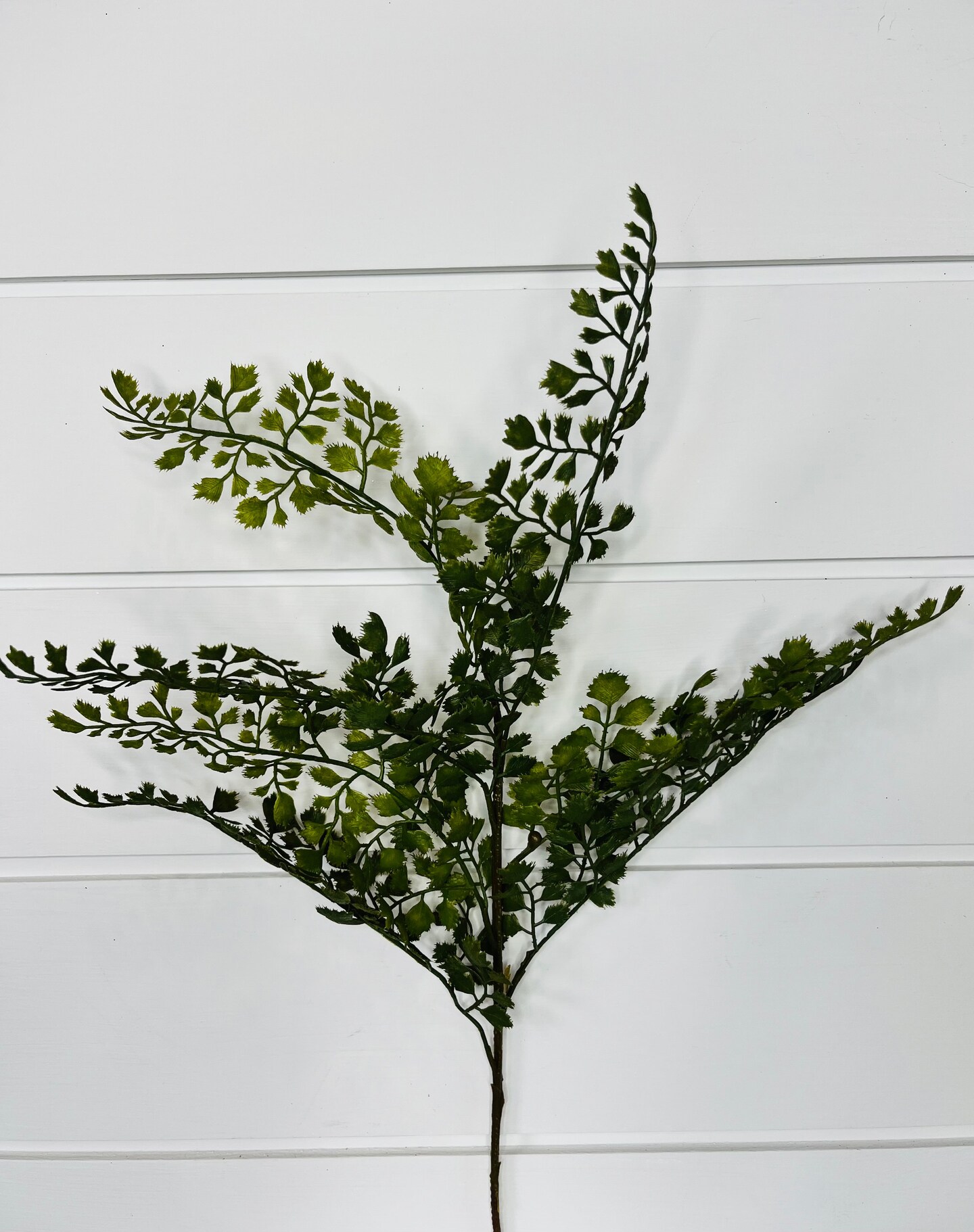 Vibrant and Versatile: 22-Inch Artificial Maidenhair Fern Spray-FG5654