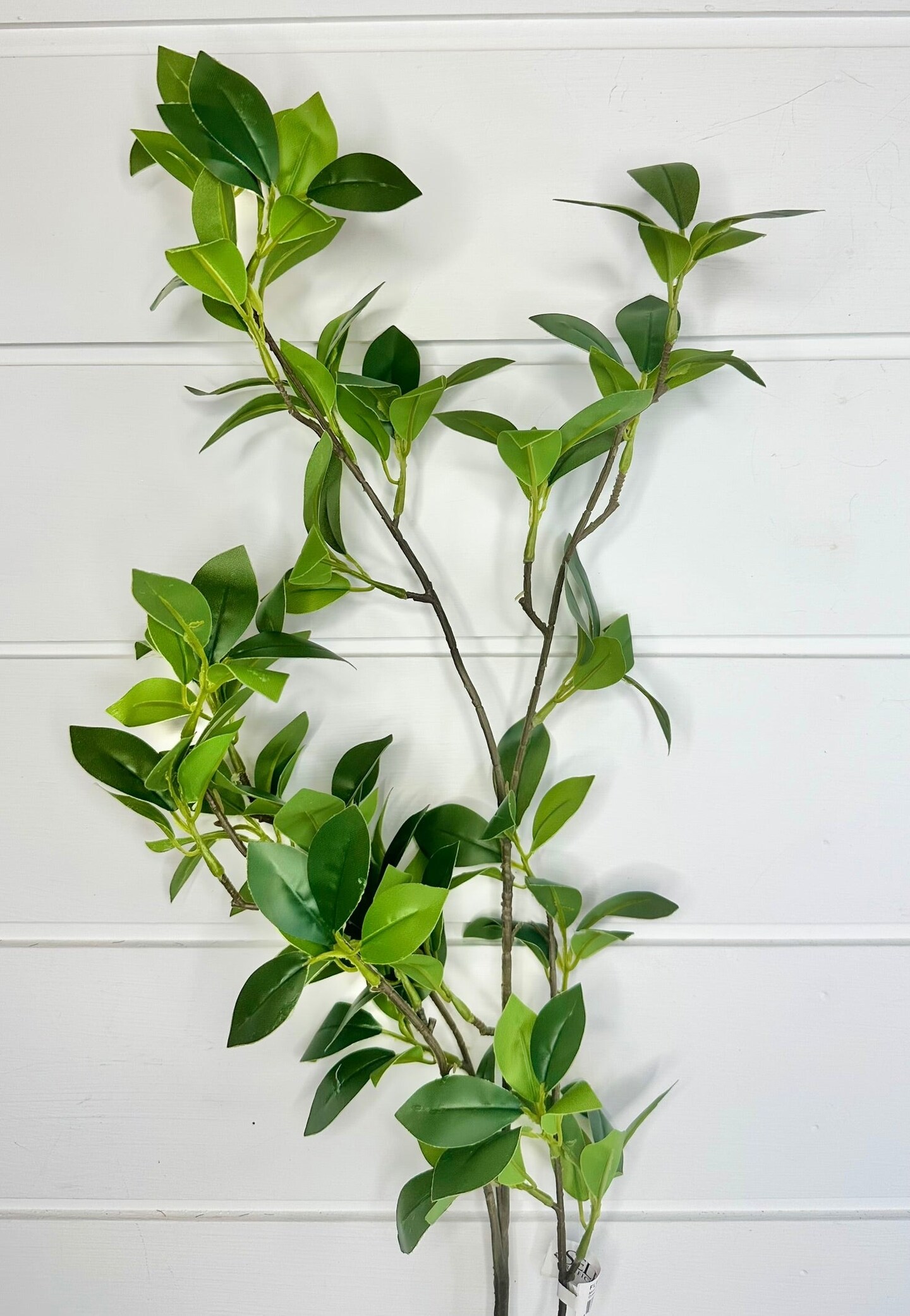TCT Crafts Artificial 38" Green Mini Ficus Leaf Branch - Craft and Home Decor Supply - Artificial Greenery for Arrangements - FL6103-G