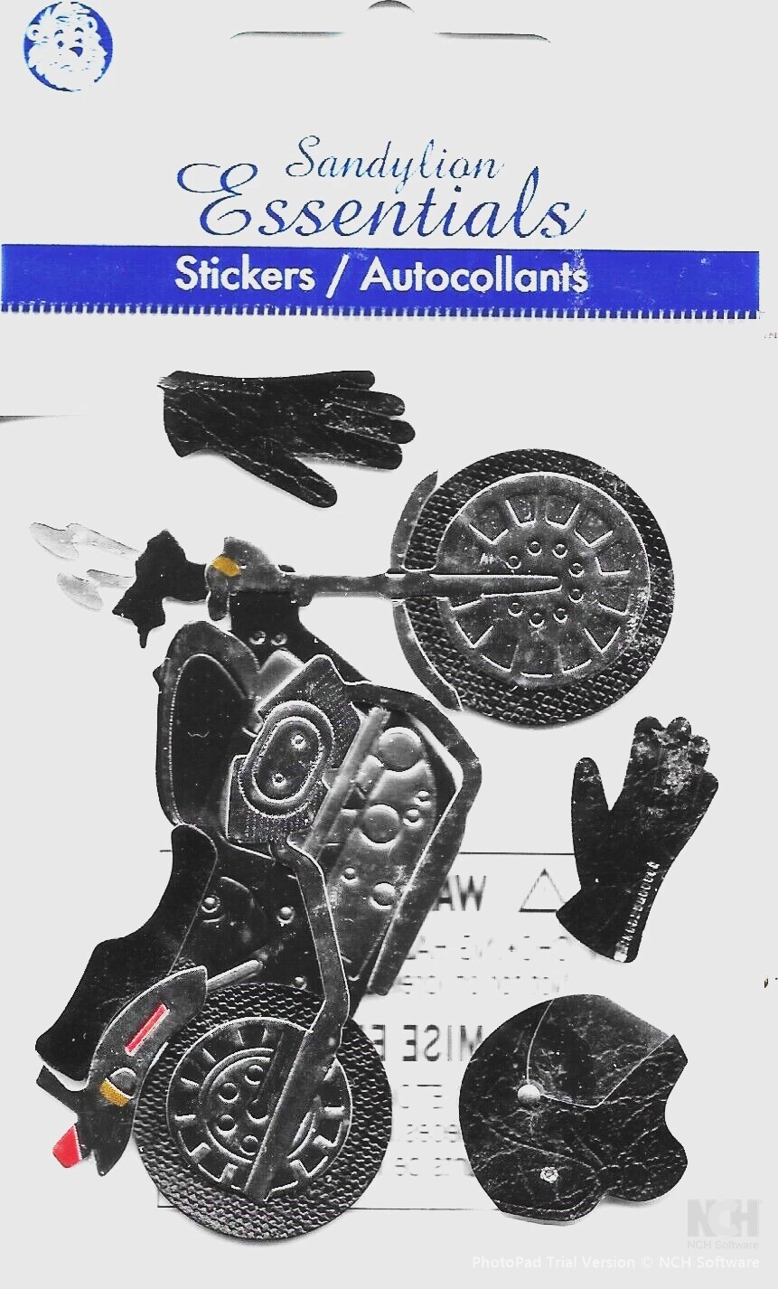 サンディライオン Sandylion Motorcycle Dimensional Stickers | Michaels