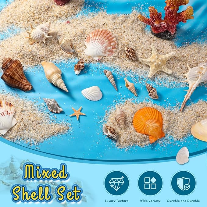 Mixed Ocean Seashells Set – 60 PCS Natural Seashells & Starfish