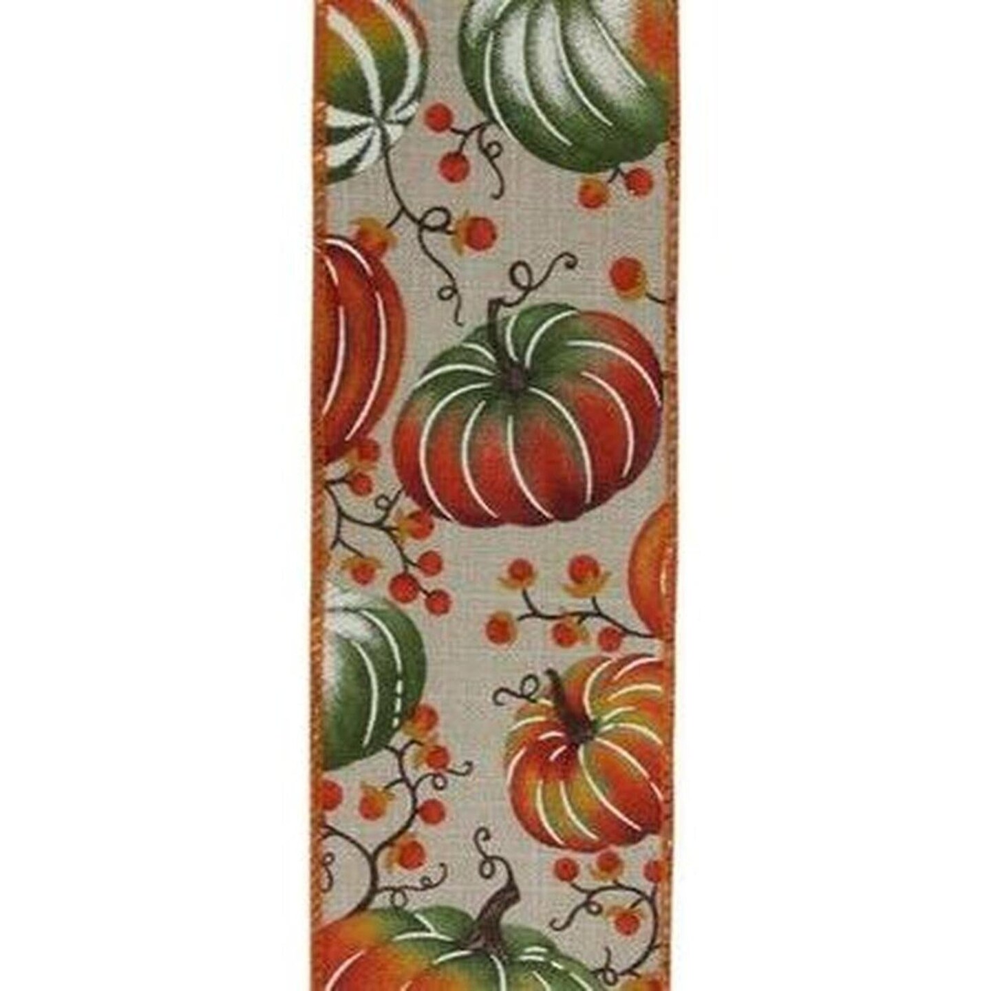 2.5" Pumpkins Bittersweet Ribbon: Light Natural/Rust (10 Yards)