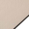 Colorplan MIST - 91 Lb. / 135 gsm / 8 pts Matte Premium Cardstock Paper Text A2 Euro Flap Envelopes Bulk Pack of 250