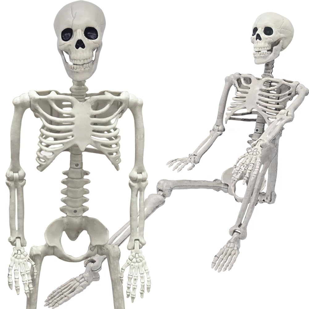 36&#x22; Skeleton Halloween Decorations, 3FT Realistic Full Body Movable Posable Joints Skeleton, Creepy Halloween Plastic Skeleton for Graveyard Decorations, Haunted House Props Indoor/Outdoor Decor