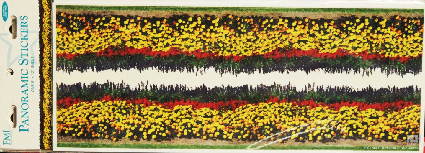 FMI Flowers Panoramic Vellum Border Stickers | Michaels