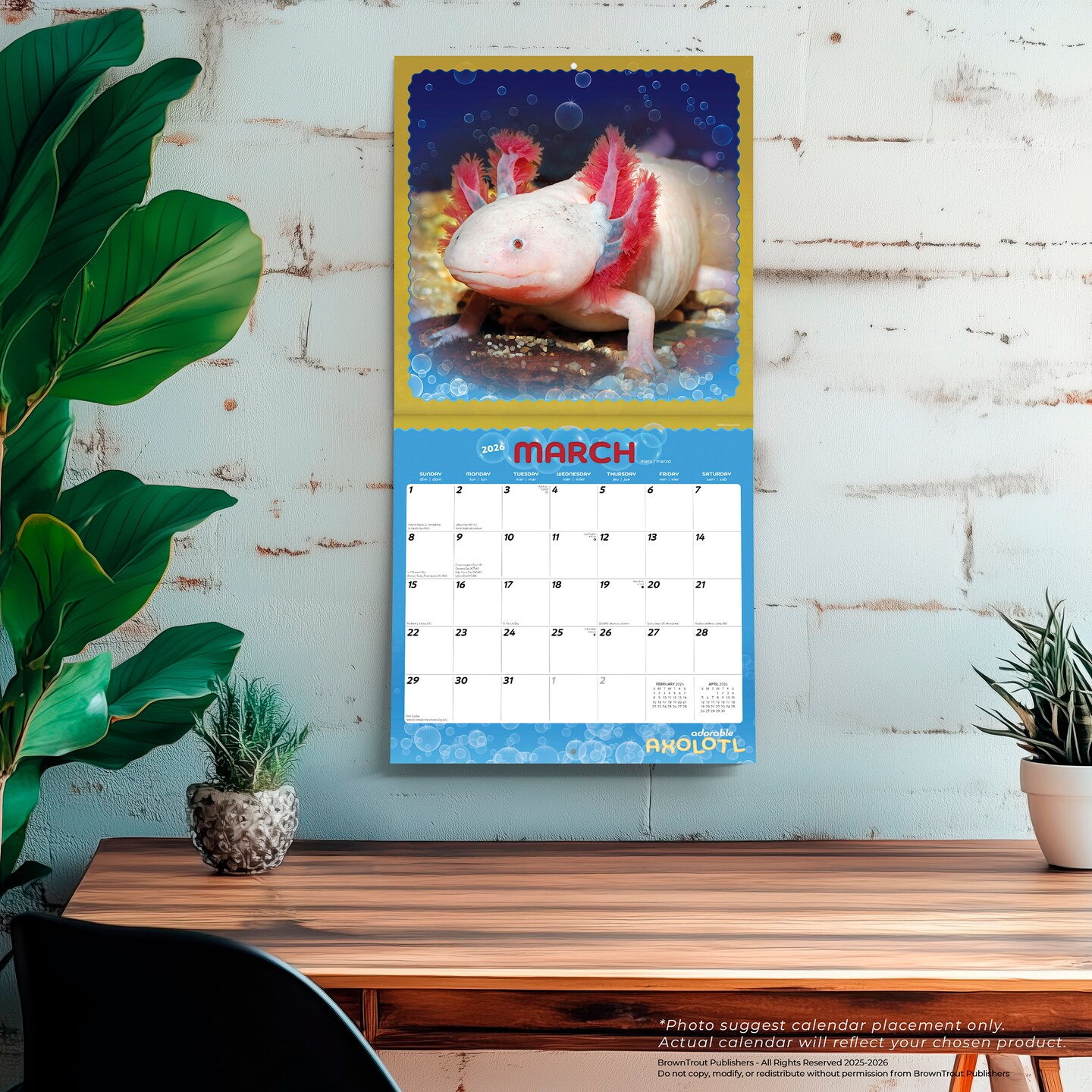Adorable Axolotl | 2026 12 x 24 Inch (Hanging) Monthly Square Wall Calendar | Plastic-Free